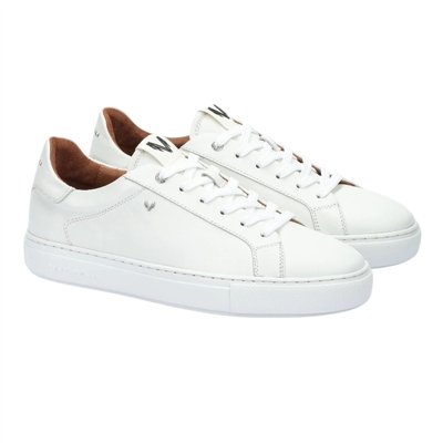 1738-2950S Blanco