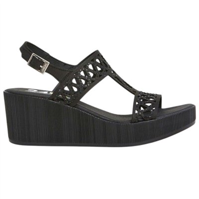 26484 Negro