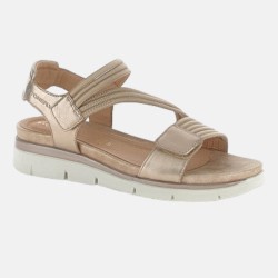 220831 Taupe - 3626 - 99,90 €